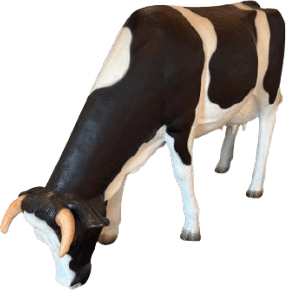 Vache décorative grandeur nature en plastique Occasion - Équipement professionnel d'occasion - Smart Reuse